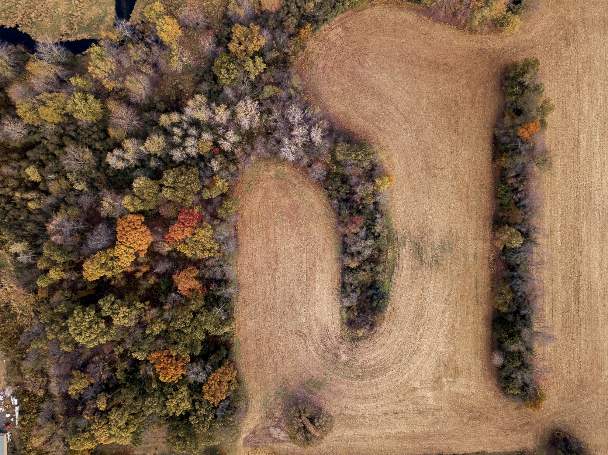 Land Clearing field