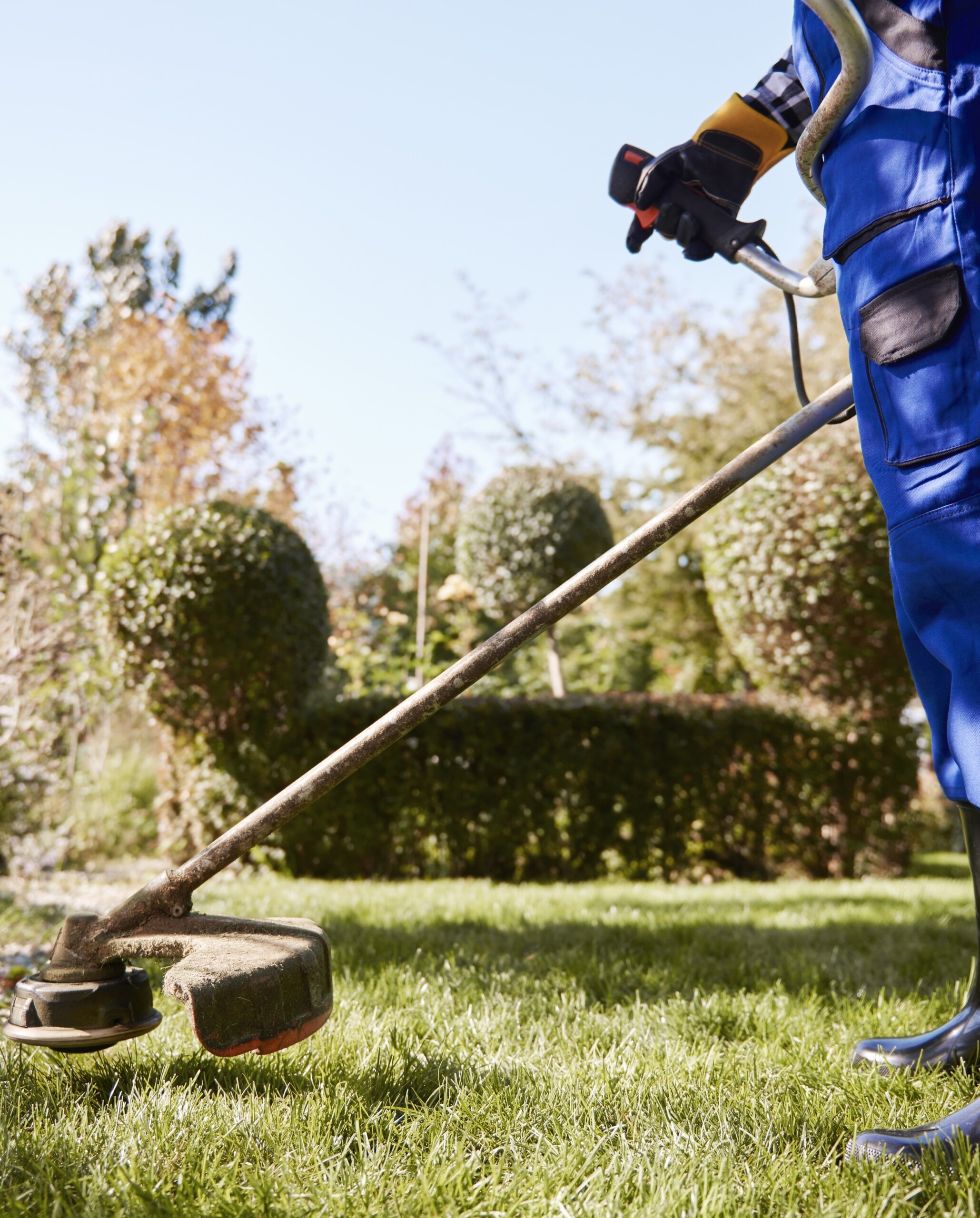 Landscaping lawn care